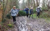 img34