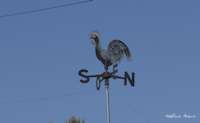 img29