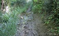 img20