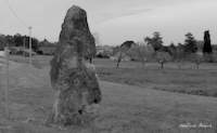 img23