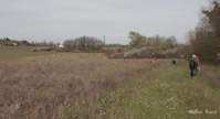img105