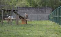 img26