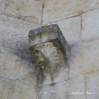 img51