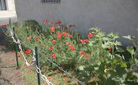 img98