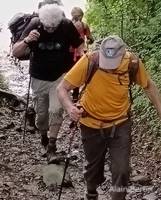 img4