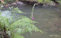 img106