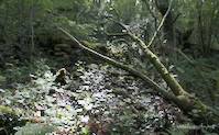 img124