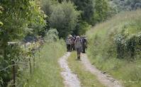 img153