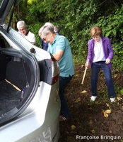 img4