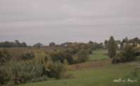img50