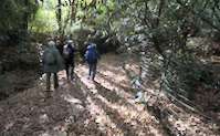img97