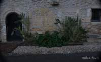 img117
