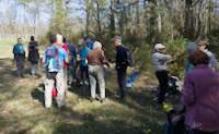 img42