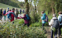 img22
