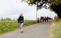 img19
