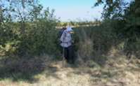 img78