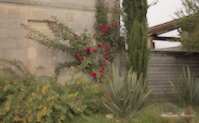 img78