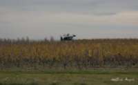 img47
