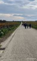 img1