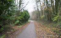 img65