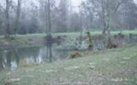 img77