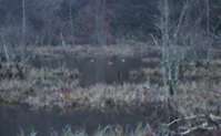 img79