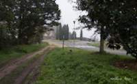 img20