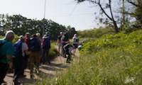 img41