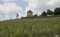 img98